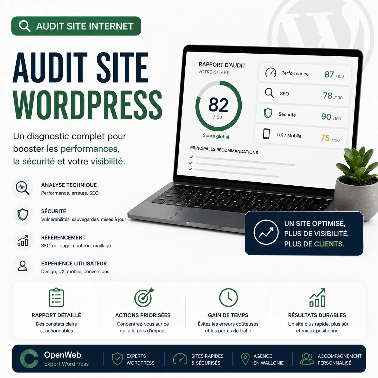 audit site internet wordpress